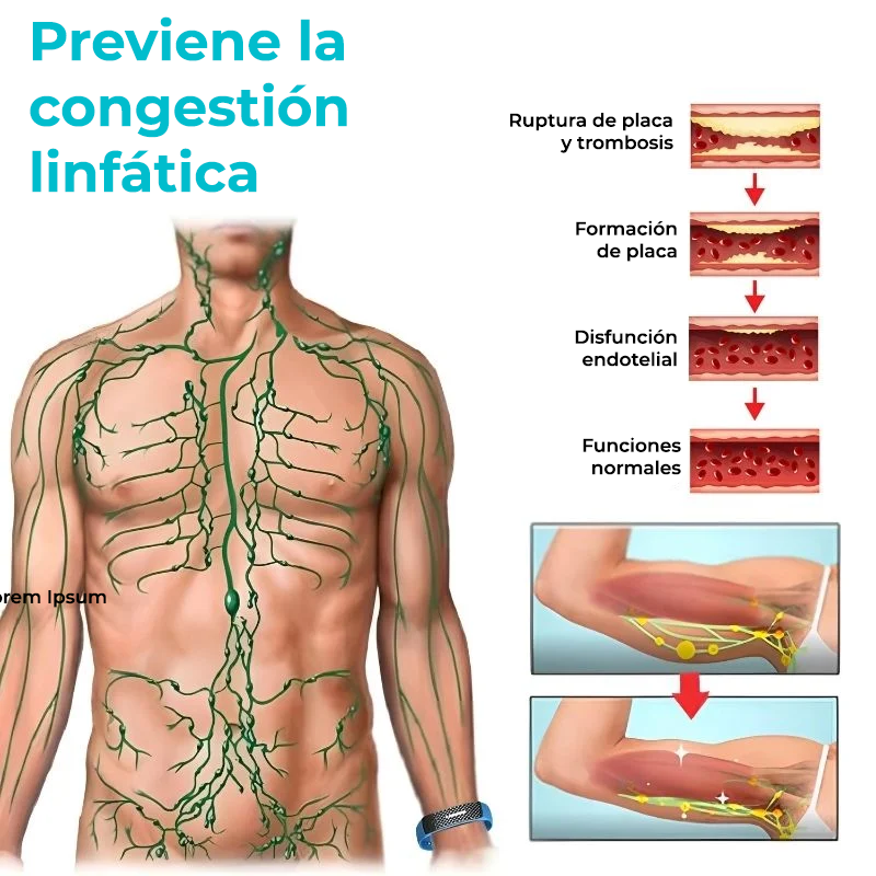 FitBand™ | ¿Frustrado por el lento progreso? ¡Queme 6kg en 1 semana y vea por fin resultados!